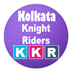 IPL8 Kolkata Knight Riders Squad