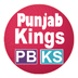 IPL8 Kings XI Punjab Squad